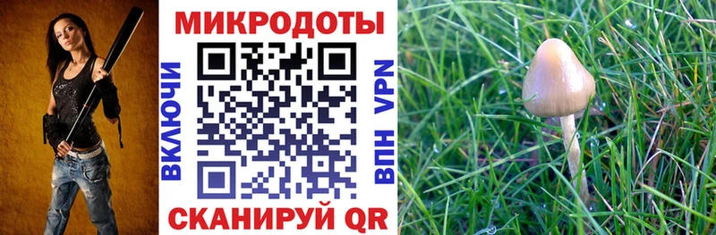 OMG ССЫЛКА  Кострома  Псилоцибиновые грибы Psilocybe 